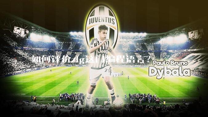 如何评价zig这门编程语言？