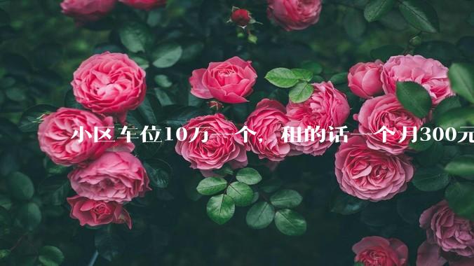 小区车位10万一个，租的话一个月300元，还有必要买车位吗？