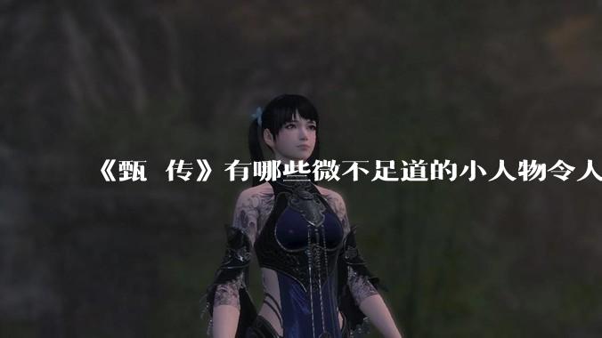 《甄嬛传》有哪些微不足道的小人物令人印象深刻？