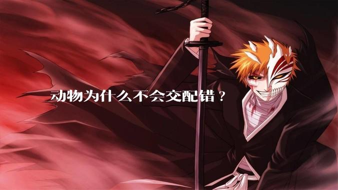 动物为什么不会交配错?