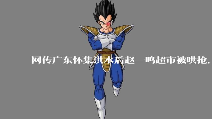 网传广东怀集洪水后赵一鸣超市被哄抢，县***回应相关单位正在核实，若属实哄抢者该承担哪些法律责任？