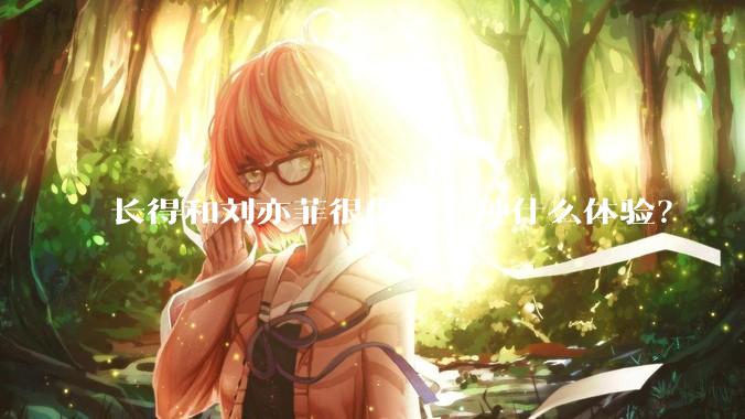 长得和刘亦菲很像是一种什么体验？