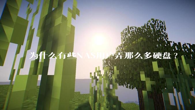 为什么有些NAS用户弄那么多硬盘?